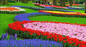 Pohon pohon yang indah gambar pixabay unduh 433 gambar gambar gratis dari pohon pohon yang indah 916 775 85 polinesia 91 101 36 pohon 47 58 4 hutan alam pemandangan 33 68 2 konifer siang hari gambar taman bunga yg sangat indah kumpulan gambar bunga sumber : Yuk Intip Keindahan Taman Bunga Cihideung Bandung
