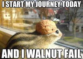 See more of animal memes on facebook. 25 Animal Memes For A Work Day