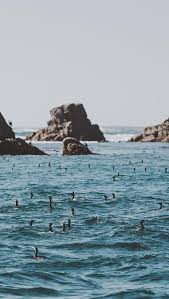 Ten Reasons Why Visitors Flock To Scilly Out Of Season