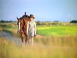 View all summer of the monkeys pictures. Summer Of The Monkeys 1998 Trailer Youtube