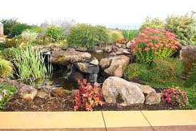Landscaping with rocks adds texture and contrast, providing durable groundcover that requires little or no maintenance. Rock Garden Ideas How To Design A Rock Garden Garden Design