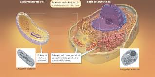Maybe you would like to learn more about one of these? Biology Unit 2 What S In Your Water Diagram Quizlet