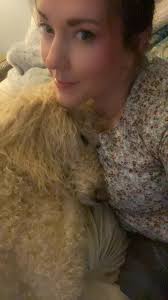 Do poodles need to have physical contact with their owners?