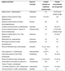 Image result for Mimulopsis excellens