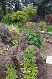 Mon petit garçon a particulièrement aimé la serre des plantes. Jardin Botanique De Lyon Comite Des Parcs Et Jardins De France
