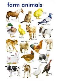 For starters, the name should match the animal's attitude. Transport Name Fruits Name Flowers Name Shapes Pictures Animals Name Vegetables Flowers Name Animals Name In English Farm Animals Pictures Animals