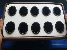 Tapi untuk mendapatkan hasil panen yang sesuai, perawatan hidroponik tak bisa disamakan dengan budidaya konvensional biasa. Buat Sendiri Bekas Hidroponik Dengan Guna Barang Barang Murah Dibeli Di Daiso Semua Semua Semuanya