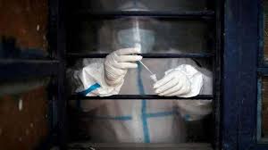 An outbreak of a deadly black fungus that rots covid patient's limbs and doubles death rate has been detected in delhi. 0okr Rie62axnm
