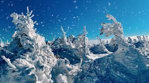 Nieve definition, a clenched or closed hand; Foto Invierno Nieve