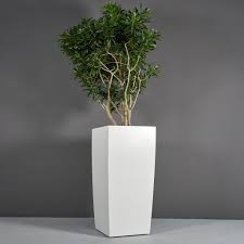 We did not find results for: Best Fiberglass Planters 8 Key Factors To Help You Choose The Right Pot For Your Next Project Jay Scotts Collection