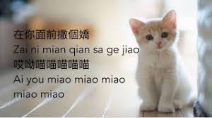 Xue Mao Jiao Xiao Pan Pan Xiao Feng Feng Youtube