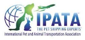 1,272 likes · 9 talking about this · 986 were here. We Have An Experienced Team Of British Qualified Vets And Nurses Signifying A Very High Level Of Expertise British Veterinary Hospital