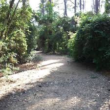 Kleb Woods Nature Park Tomball Texas Day Trips Tomball Texas Trip