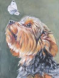 100 Cartoon Yorkies Ideas Yorkie Yorkshire Terrier Dog Art Check out our realistic cartoon selection for the very best in unique or custom, handmade pieces from our digital there are 2416 realistic cartoon for sale on etsy, and they cost $34.30 on average. yorkie yorkshire terrier dog art
