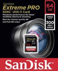 Which one should you buy and why? Sandisk Extreme Pro Sdxc Card 64 Gb Class 10 Uhs Ii Uhs Class 3 Conrad Com