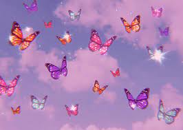 Dragon wallpaper iphone hippie wallpaper trippy wallpaper butterfly wallpaper iphone iphone check out our purple wallpaper iphone vintage selection for the very best in unique or custom, handmade. Butterfly Aesthetic Hintergrundbild Nawpic