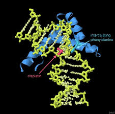 Image result for Cisplatin