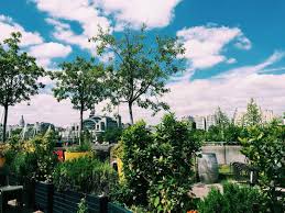 The gardens, once the largest roof gardens in england, are a thrill to behold, especially during the day, when the crowds are at a minimum. London S Best Rooftop Bars And Restaurants For Summer 2019 Eater London