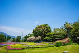 Check spelling or type a new query. Background Taman Hd