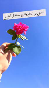 Pin By ملاك الورد On Arabic Quotes Relationship Goals Pictures Relationship Goals Morning Quotes
