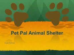 Pet owners and animal lovers. Pet Pal Animal Shelter Luke Sutton Mission To Rescue Dogs And Cats From Animal Shelters That May Otherwise Be Euthanized Due To Time Limitations Illness Ppt Download