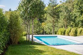Was als sichtschutz im garten erlaubt ist, und was nicht, steht im nachbarrecht. Schnell Wachsende Baume Gartentipps Von Meister Meister