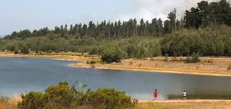 Get lago peñuelas's weather and area codes, time zone and dst. Lago Penuelas Podria Quedar Seco En Marzo Por Falta De Lluvia En La Zona