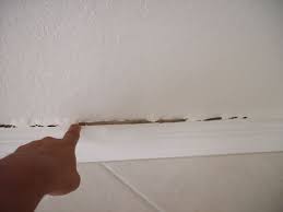 Read general water damage restoration prices, tips and get free water damage restoration water damaged carpet is more expensive to replace than it costs to install brand new. Water Damage On Baseboards