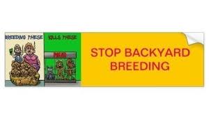 How to get a dog breeding license. Petition Say Yes To Dog Breeding License In Ohio County Ky Change Org