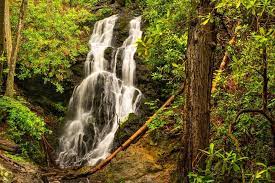 4 Easy Hikes In The Smoky Mountains The Entire Family Can Enjoy Smoky Mountain Waterfalls Smoky Mountains Hiking Smoky Mountains