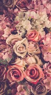 Pin By Jess L On Flowers Flower Background Wallpaper Flower Background Iphone Flower Backgrounds