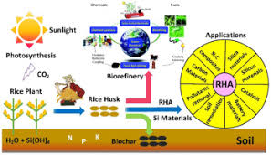 How to make biochar at home you can make biochar in the garden by doing a controlled burn in a trench right in your garden area. Rice Husk Silica Derived Nanomaterials For Sustainable Applications Sciencedirect
