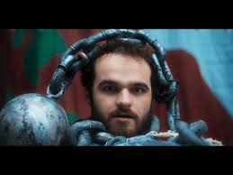 Buzzard Buzzard Buzzard