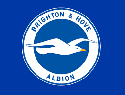 Football news, scores, results, fixtures and videos from the premier league, championship, european and world football from the bbc. Brighton And Hove Albion Have Sealed Promotion To The English Premier League For The First Time In Their History Brighton Escudos De Futebol Times De Futebol