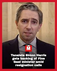 Enterprise Minister Peter Burke expressed support for his party leader