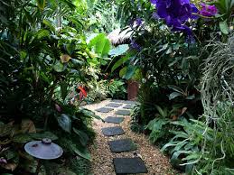 Tropical Garden Tropical Path