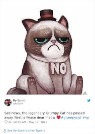 Grumpy Cat Dies Aged 7 Bored Panda There's a lot of cat meme templates with sad eyes photoshopped over the cat's normal face, quite a few of them were recreated here. grumpy cat dies aged 7 bored panda