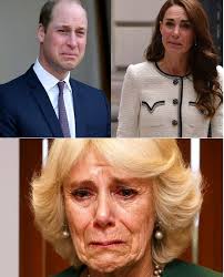 Queen Camilla's children announce shocking news
