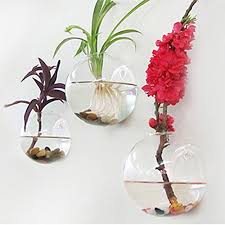 How to reuse glass bottles in the garden. Soledi Glass Hanging Vase Terrarium Hydroponic Flower Plant Pot For Diy Home Garden Decor Amazon In Garden Outdoors