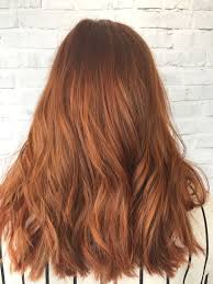 rustic coppers and burnt orange hair colour fusssalon by burnt orange hair hair color swatches hair color orange