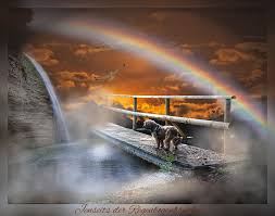 Jenseits Der Regenbogenbrucke Wenn Mein Hund Gestorben Ist Hund Starb Regenbogenbrucke Regenbogenbrucken Hund