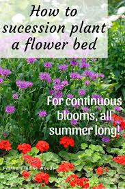 Be sure to keep your astilbe well watered as they don't like to dry out in summer. How To Succession Plant A Flower Bed Succession Planting Shade Garden Plants Flower Beds