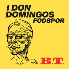 Cover til I Don Domingos Fodspor