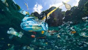 Plastic Pollution Harms Oxygen Producing Bacteria