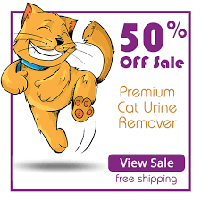 How to get cat urine smell out of a sofa? The Ultimate Guide On How To Get Cat Pee Smell Out Of Couches And Furniture Pee Off Premium Cat Pee Remover