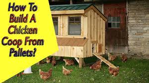 Maybe you would like to learn more about one of these? How To Build A Chicken Coop From Pallets Chicken Coop Plans Youtube
