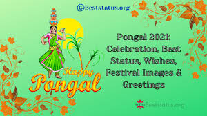 Happy Pongal Drawing Archives Best Status Well it's a harvest festival and people decorate their houses with pongal kolams. best status