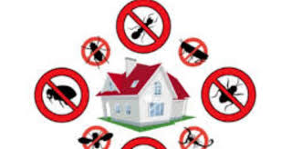 The best pest control professionals in the industry are terminix, orkin, and aptive. Sonu Pest Control Services Uttrakhand Haridwar Dehradun Rishikesh Address Guru