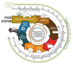 Thanks to foodcircle's guaranteed prices, we have been able to save up to 20 margaux a. Systems Free Full Text Circular Economy For Food A Systemic Interpretation Of 40 Case Histories In The Food System In Their Relationships With Sdgs Html