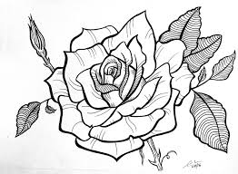 Rose Blank Ink Drawing Portrait Drawing Drawings Watercolor And Ink